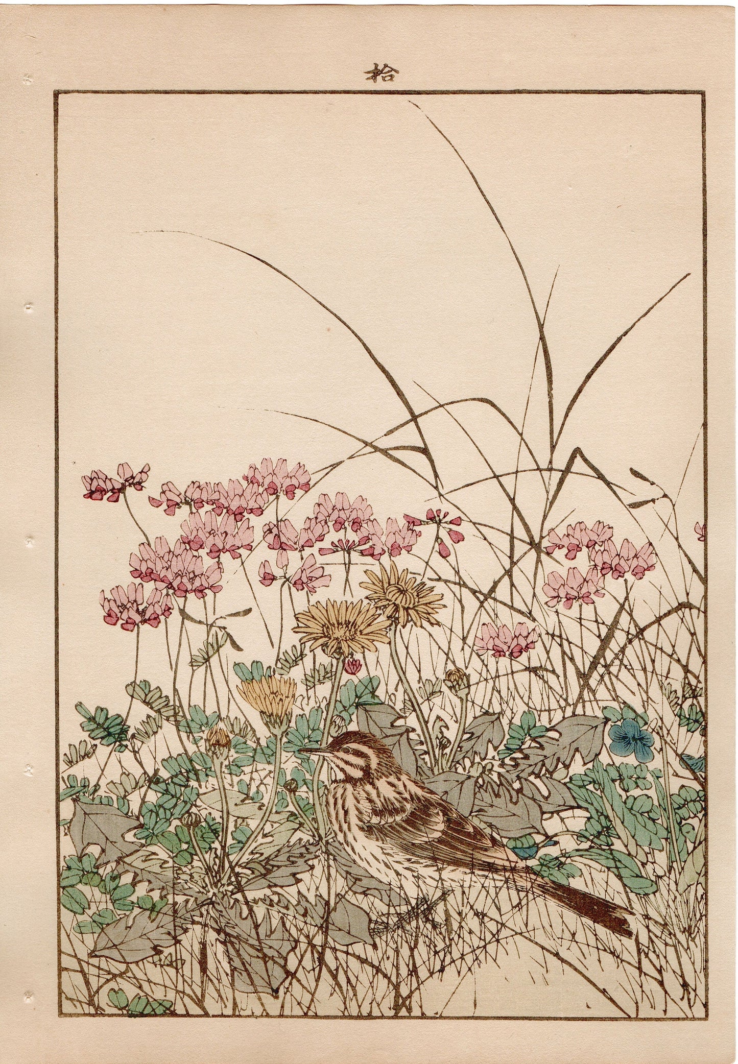 1892, Imao Keinen, " Chinese milk vetch, Violet, Dandelion, Horsetail, Lark ,Olive-backed Pipit "