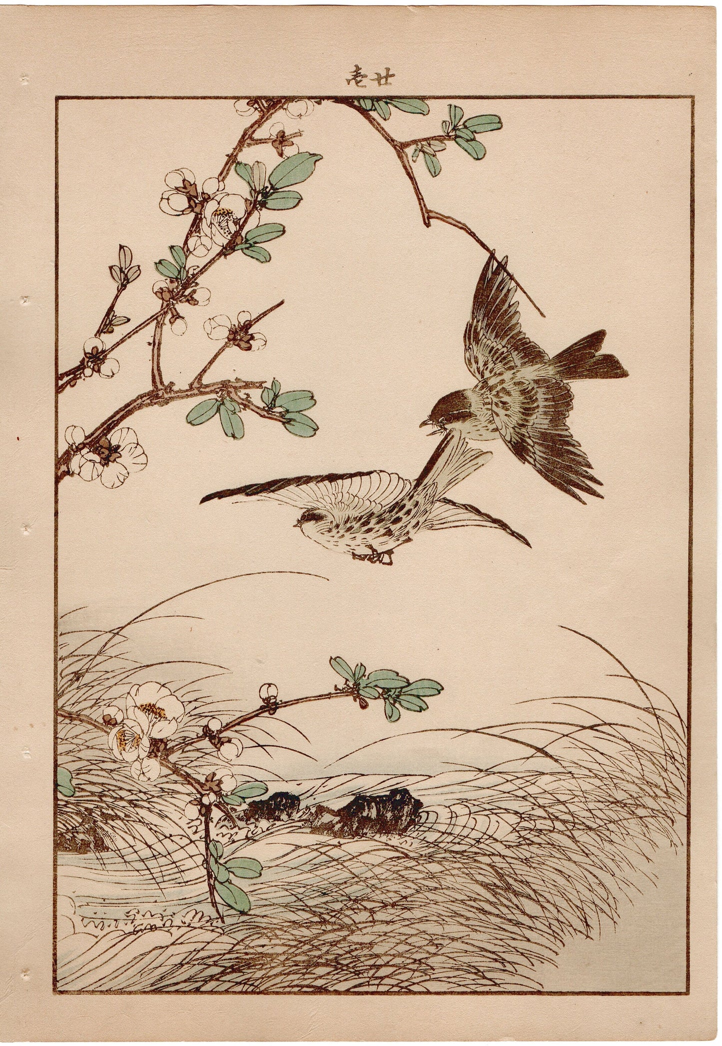 1892, Imao Keinen, " Japanese quince (Bokenohana), Japanese Buttercup (Umanoashigata), Siskin (Mahiwa) "