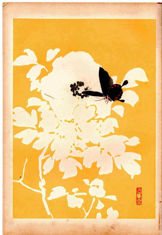 1934, Kyobashi Masuichi, "Tansai-Gafu". 11