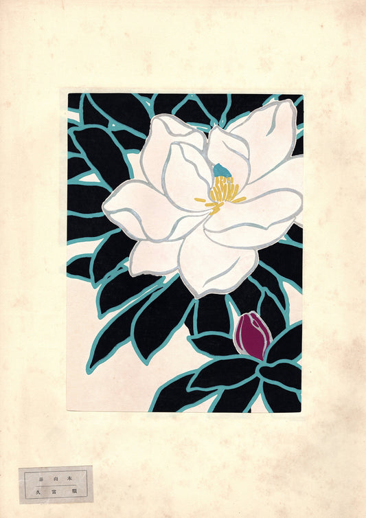 1939, Hisatomi Jun, Southern magnolia.