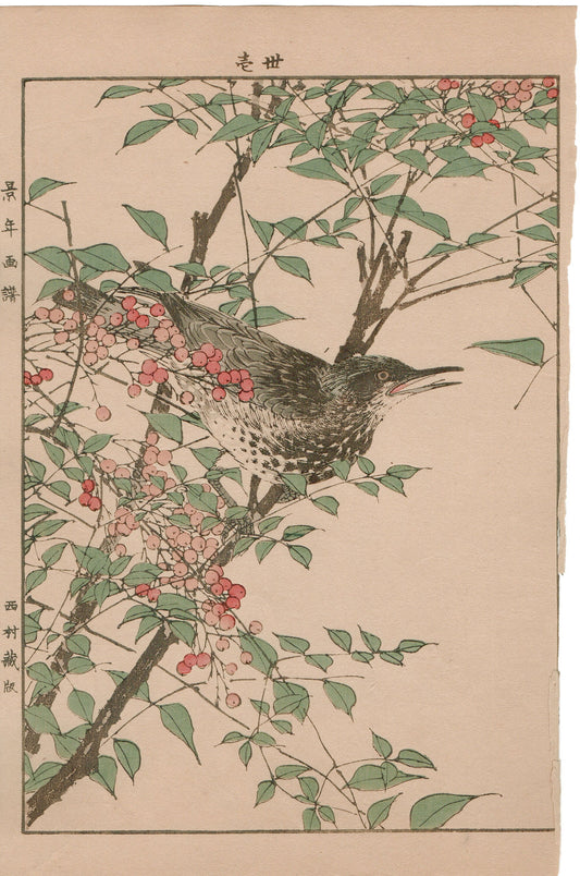 1892, Imao Keinen, "Heavenly bamboo, Bulbul"