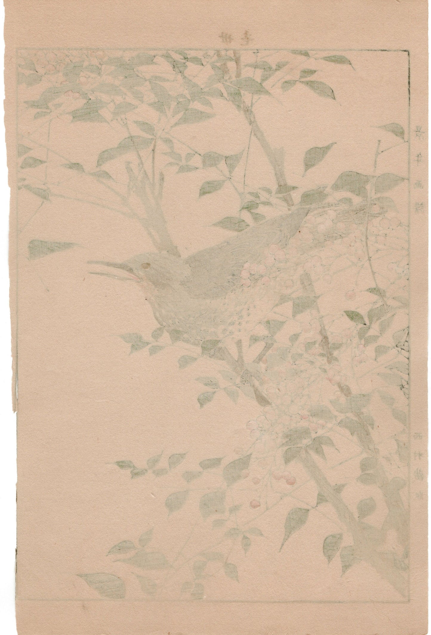 1892, Imao Keinen, "Heavenly bamboo, Bulbul"