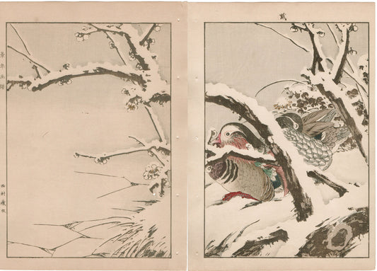 1892, Imao Keinen, "Japanese apricot, Shrike, Mandarin duck"