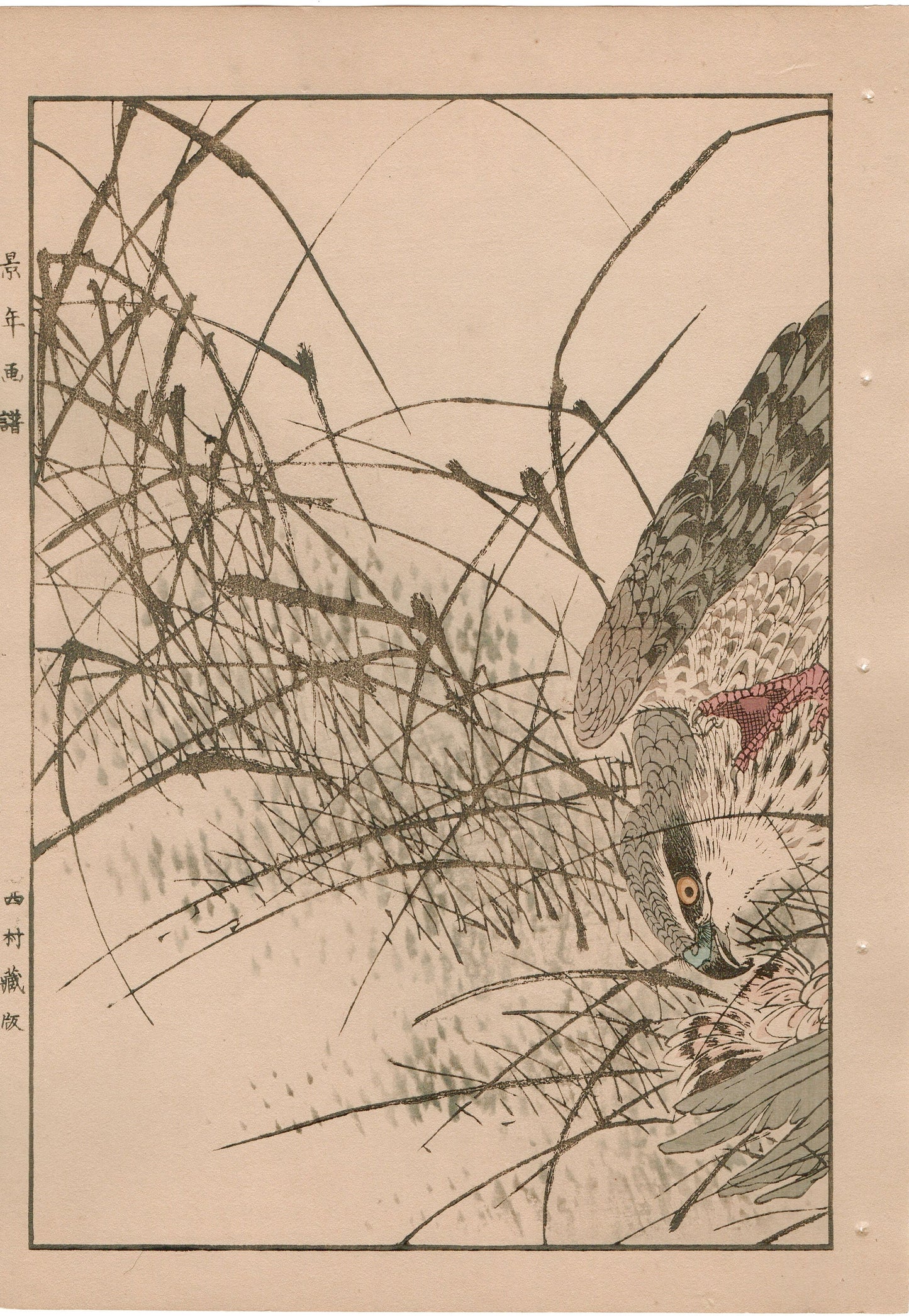 1892, Imao Keinen, "Themeda triandra var. japonica, Hawk, Duck"