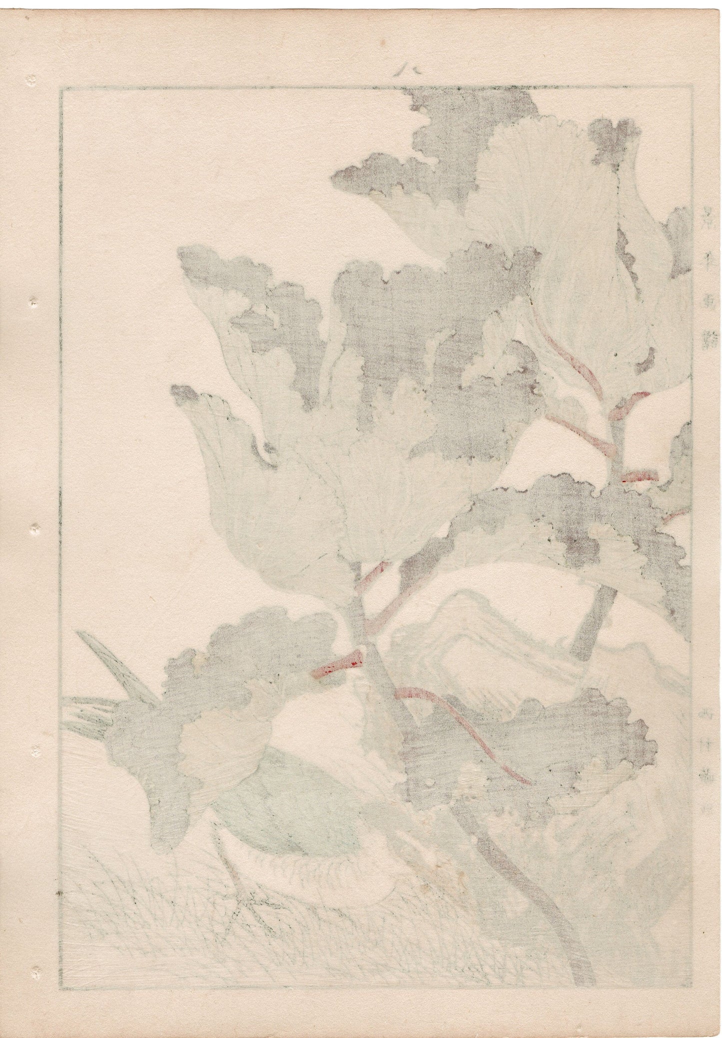 1892, Imao Keinen, "Flowering kale, Kawarabashiri"