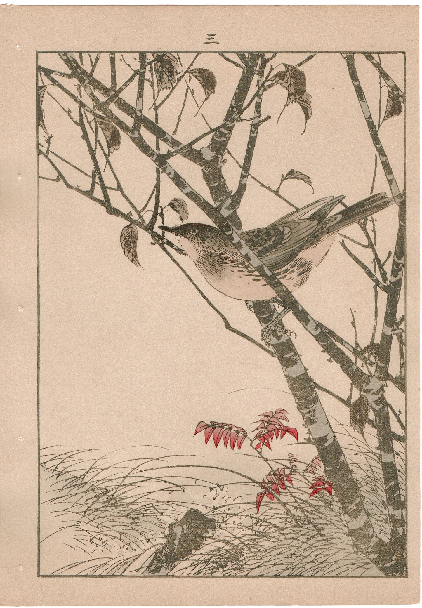 1892, Imao Keinen, "Leaf cherry, Dusky thrush"