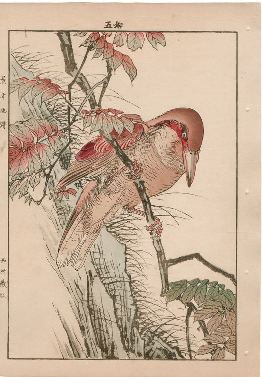 1892, Imao Keinen, "Wax tree, Crested kingfisher"