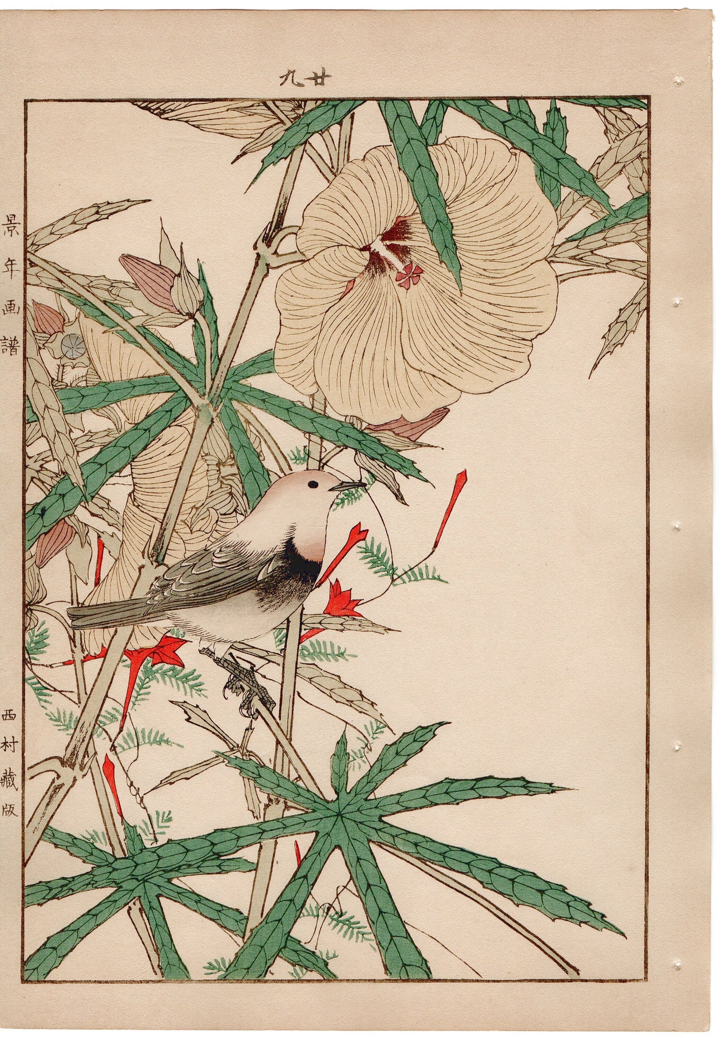 1892, Imao Keinen, "Aibika, Cypress Vine, Japanese robin"