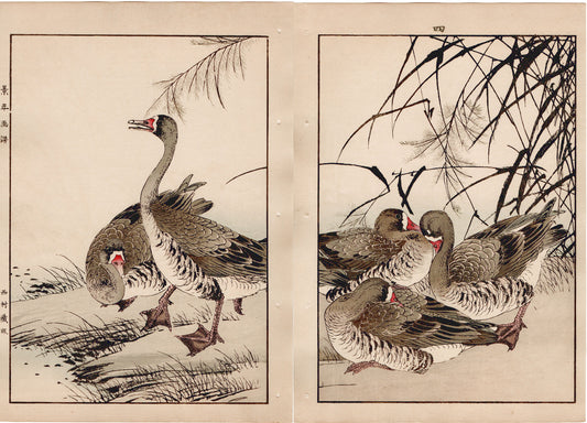 1892, Imao Keinen, "Common reed, Goose"