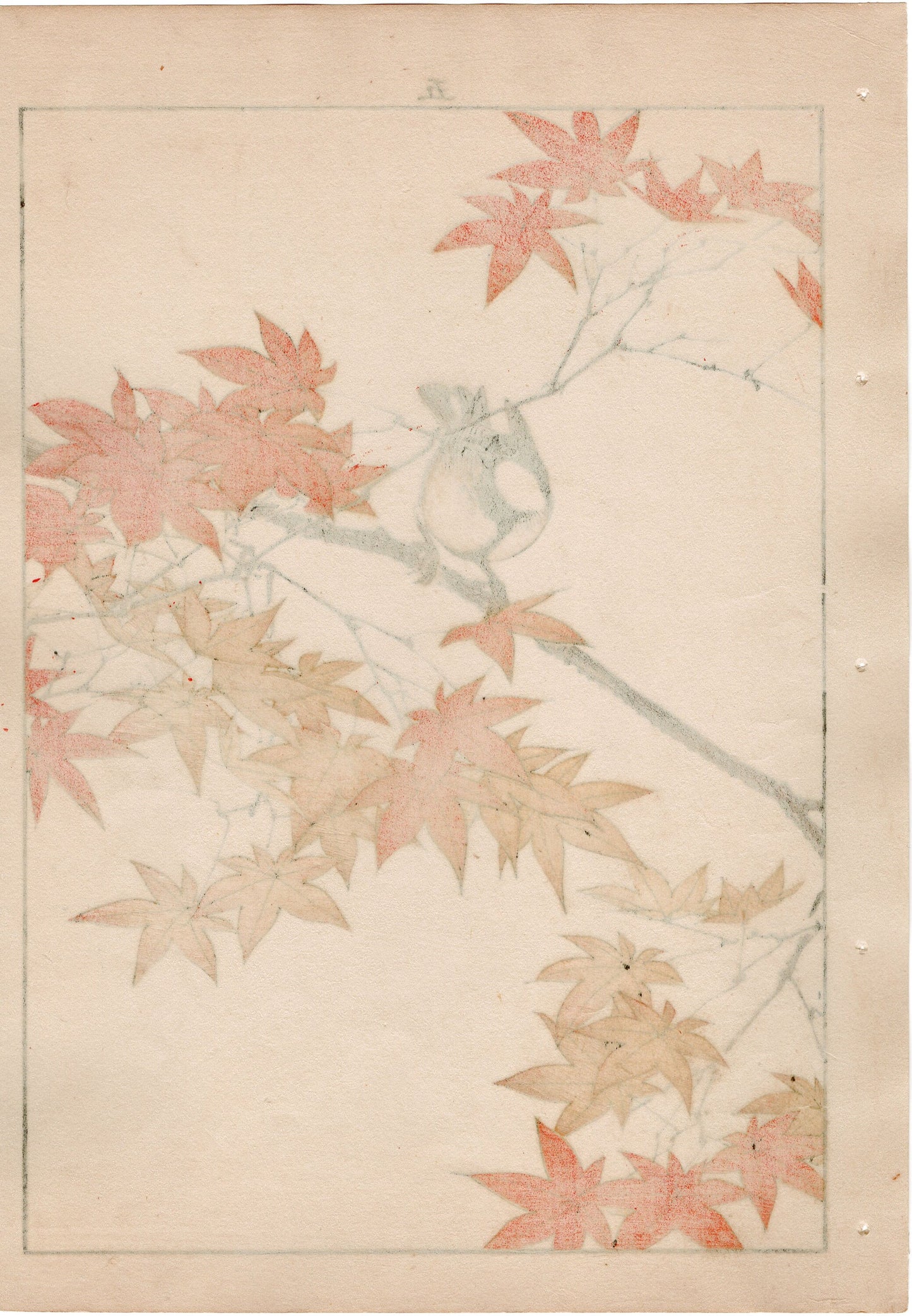 1892, Imao Keinen, "Maple, Japanese tit"