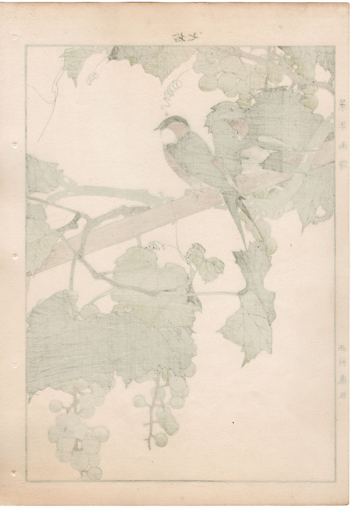 1892, Imao Keinen, "Grape, Swallow"