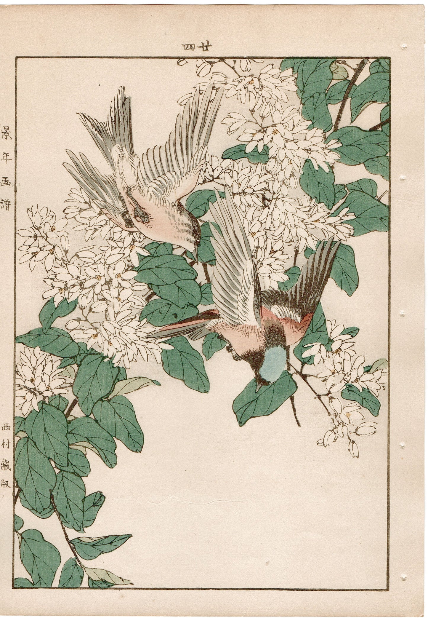 1892, Imao Keinen, "Deutzia crenata, Chats and Flycatchers"