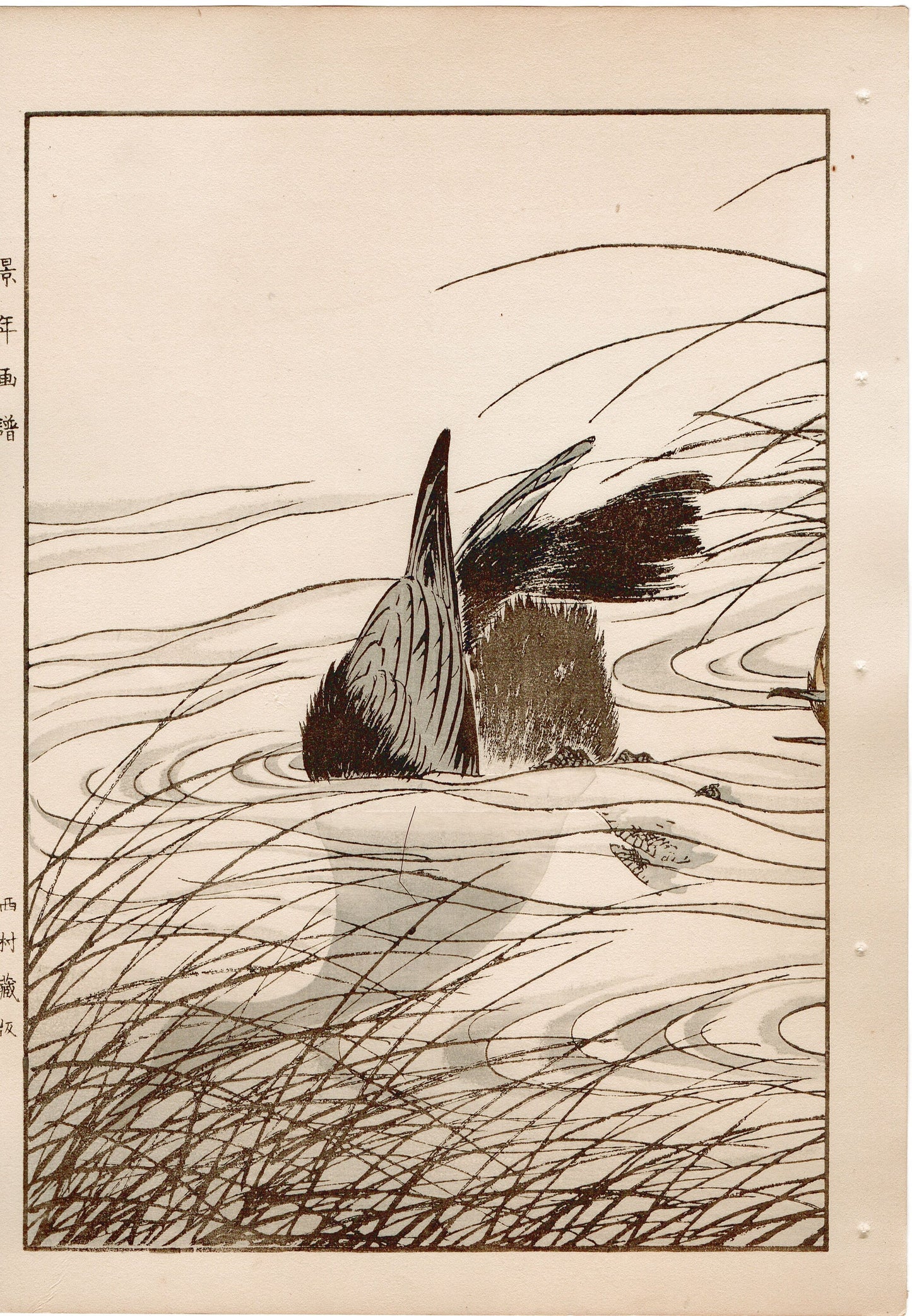 1892, Imao Keinen, "Clematis ternifora, Thatch, cormorant"