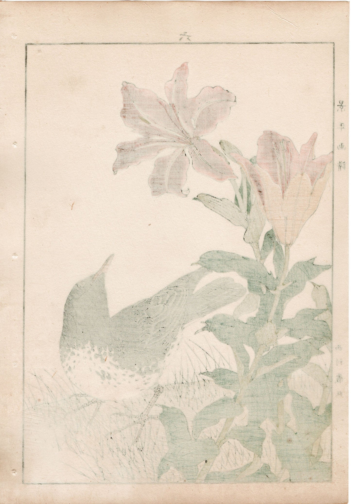 1892, Imao Keinen, "Star lily, Japanese Thrush"