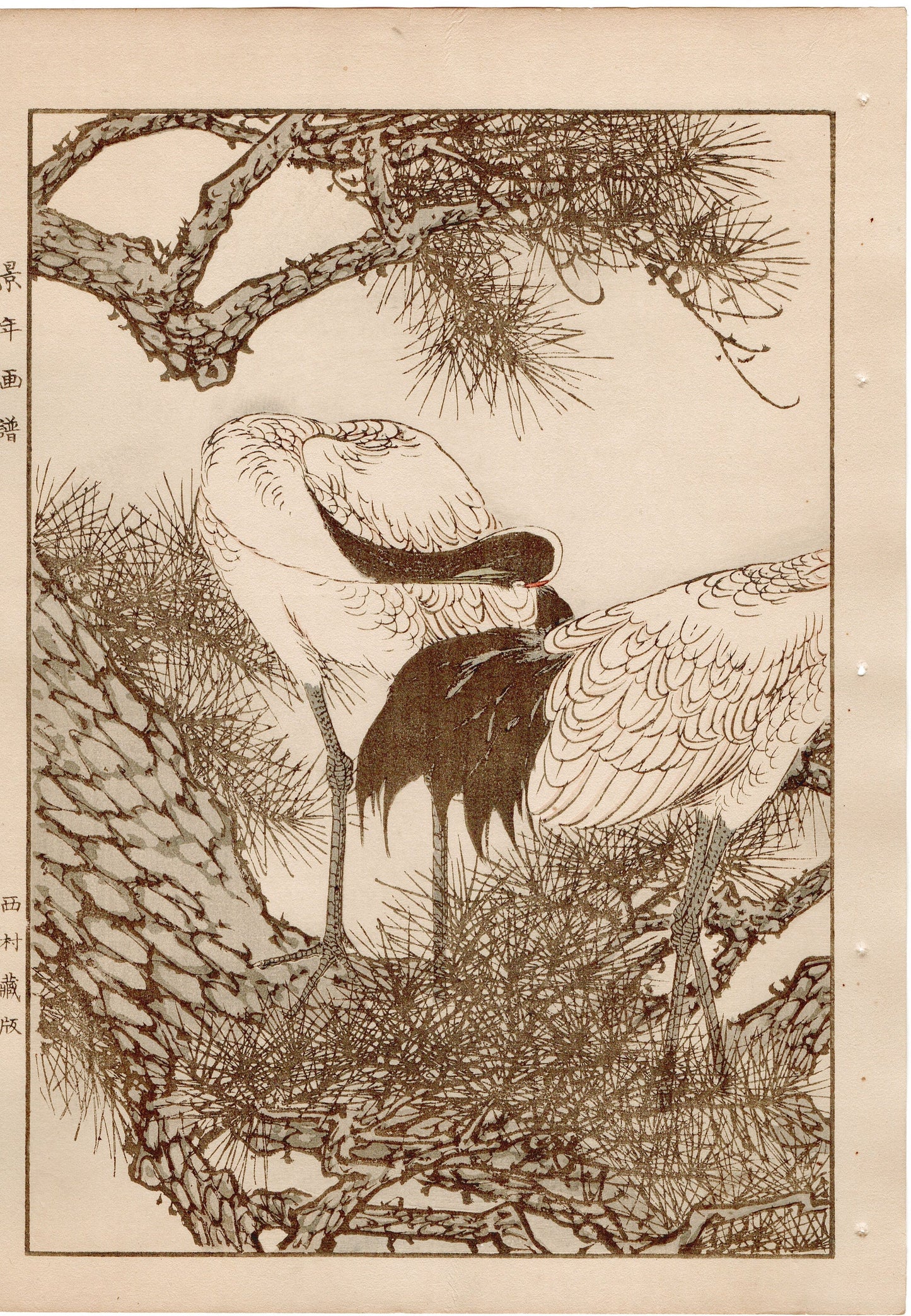 1892, Imao Keinen, "Old pine tree, Japanese crane"