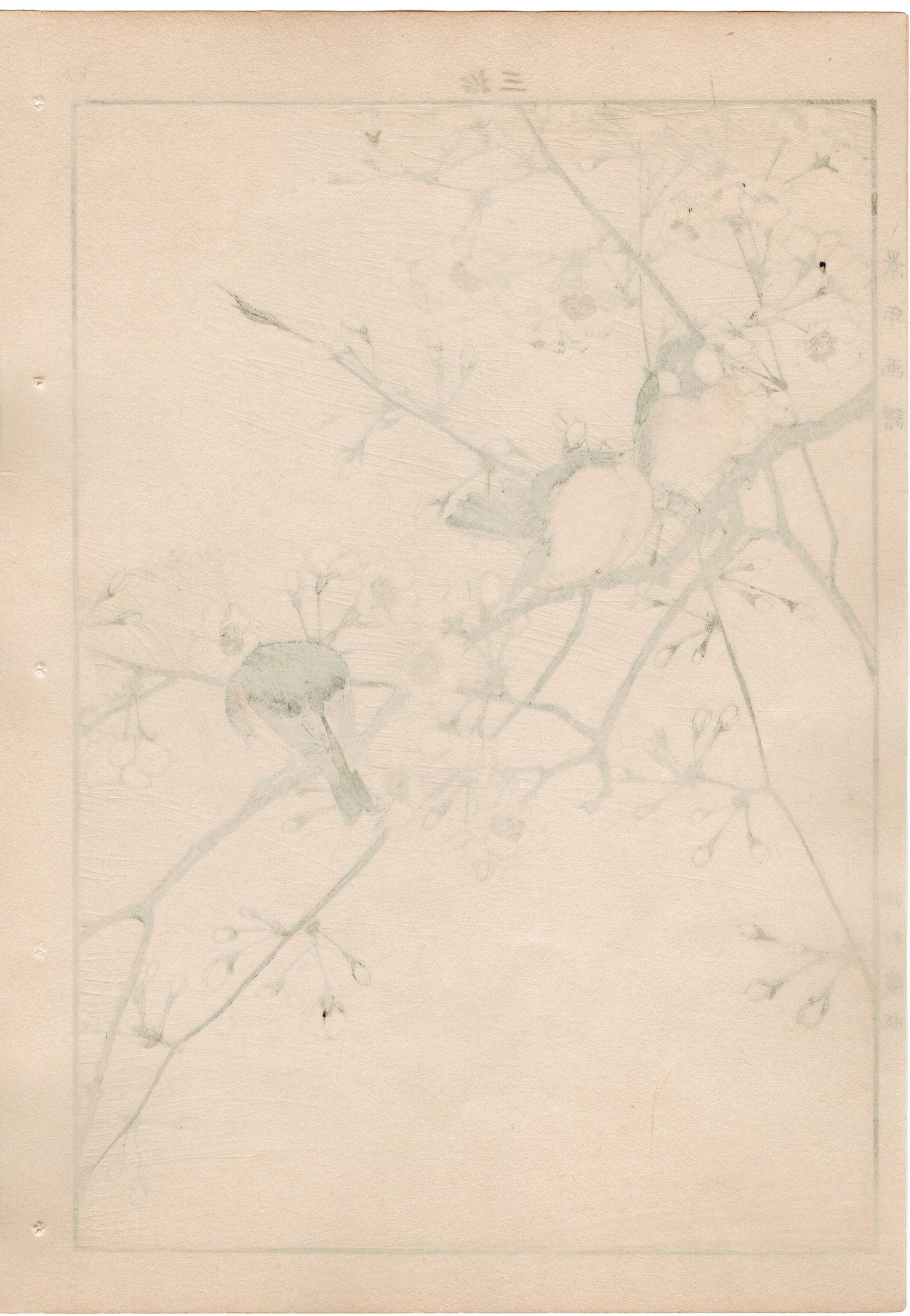 1892, Imao Keinen, " Rosebud cherry (Higanzakura), Willow Tit (Kogara) "