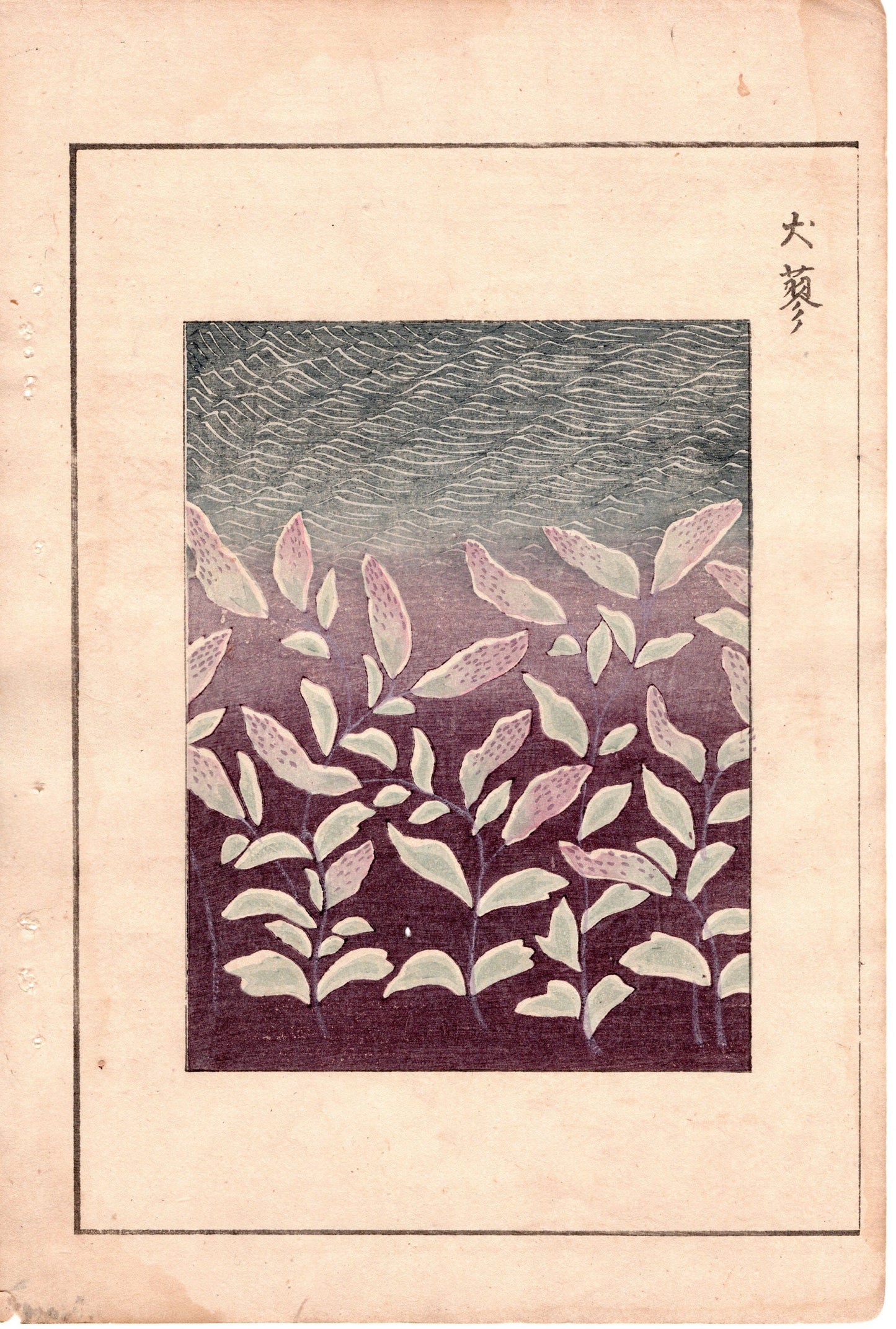 Around 1900, Bijutsukai 3, Antique Japanese print, Kimono Design.