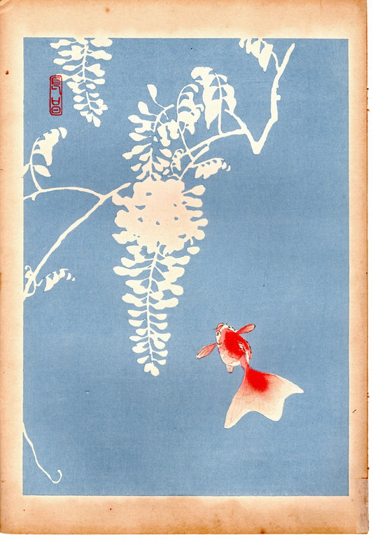 1934, Kyobashi Masuichi, "Tansai-Gafu". 7