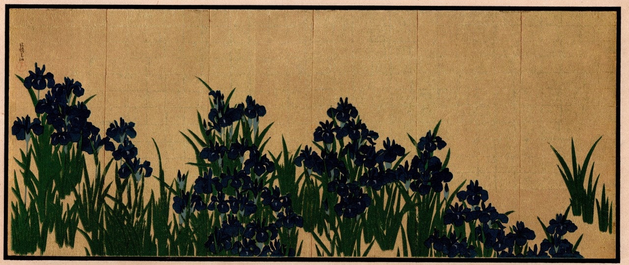 1904, Ogata Korin, Iris.