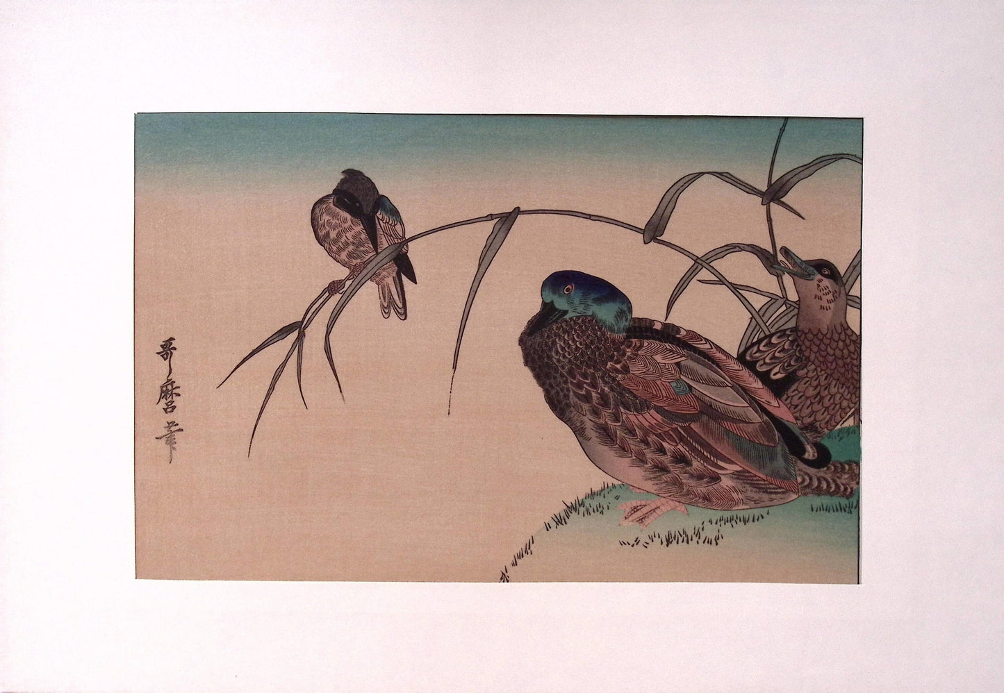 Utamaro, "Mallard Ducks (Kamo) and Kingfisher (Kawasemi)"