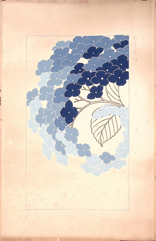 1932,  Kawarazaki Kodo,   hydrangea