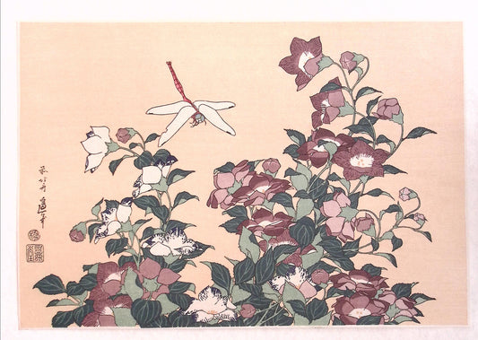 Katsushika Hokusai, "Bellflower and Dragonfly"