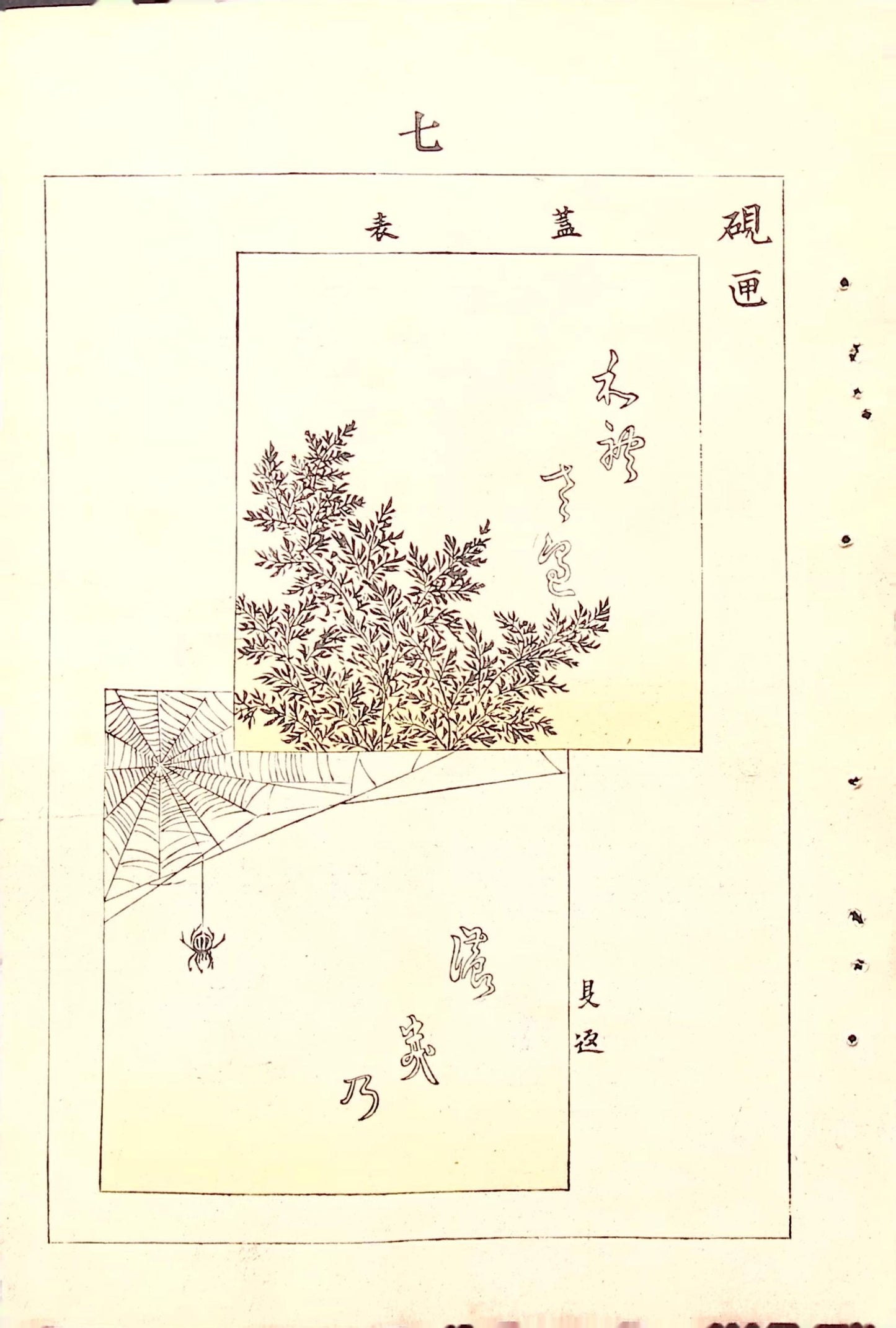 Around 1900, Bijutsukai 5, Antique Japanese print, Kimono Design.