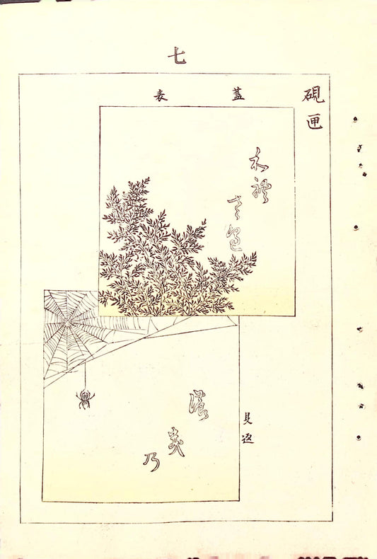 Around 1900, Bijutsukai 5, Antique Japanese print, Kimono Design.