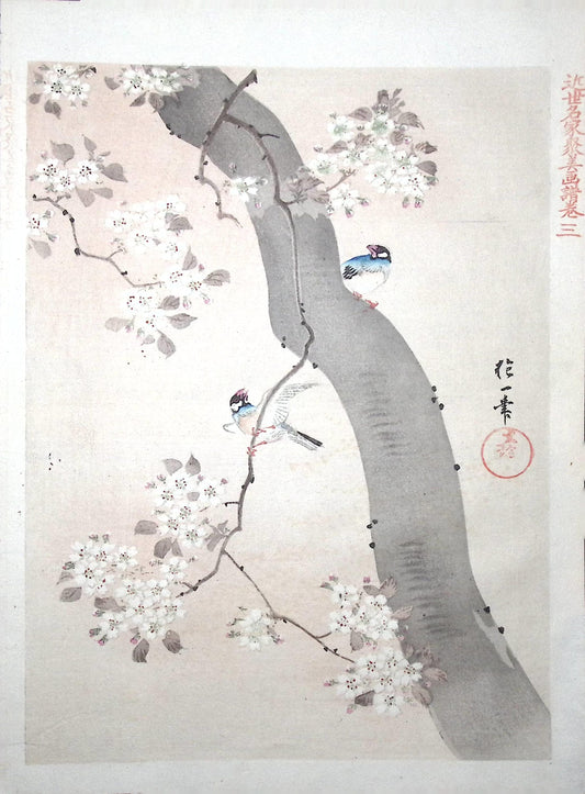 1894, Japanese antique woodblock print.