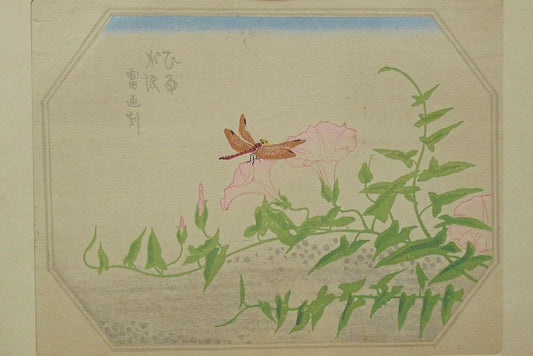 1932, Ukiyoe, Original Sōsaku-hanga, Woodblock print, antique, Tokuriki Tomikichiro, "Calystegia japonica"