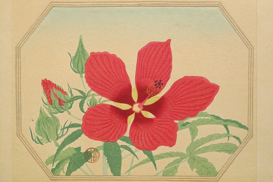 1932, Ukiyoe, Original Sōsaku-hanga, Woodblock print, antique, Tomikichiro Tokuriki, "Hibiscus coccineus"