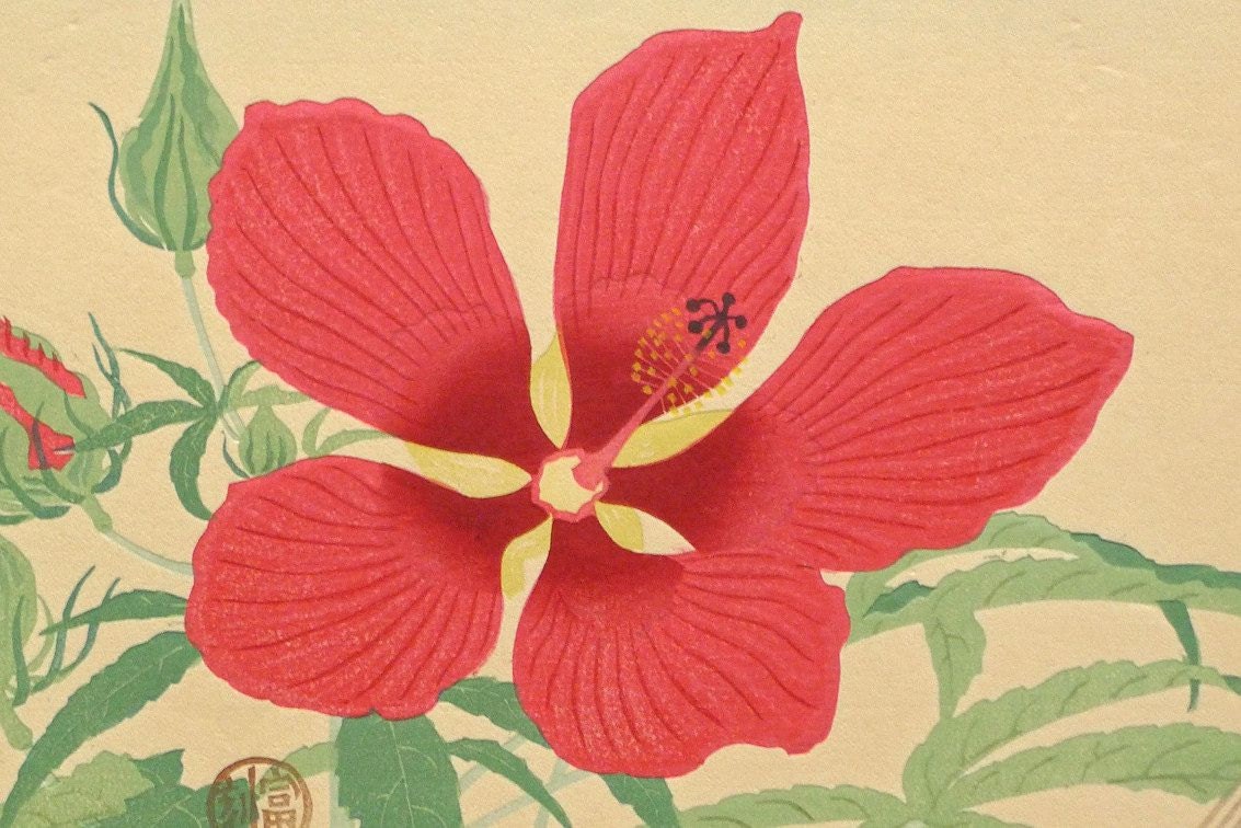 1932, Ukiyoe, Original Sōsaku-hanga, Woodblock print, antique, Tomikichiro Tokuriki, "Hibiscus coccineus"