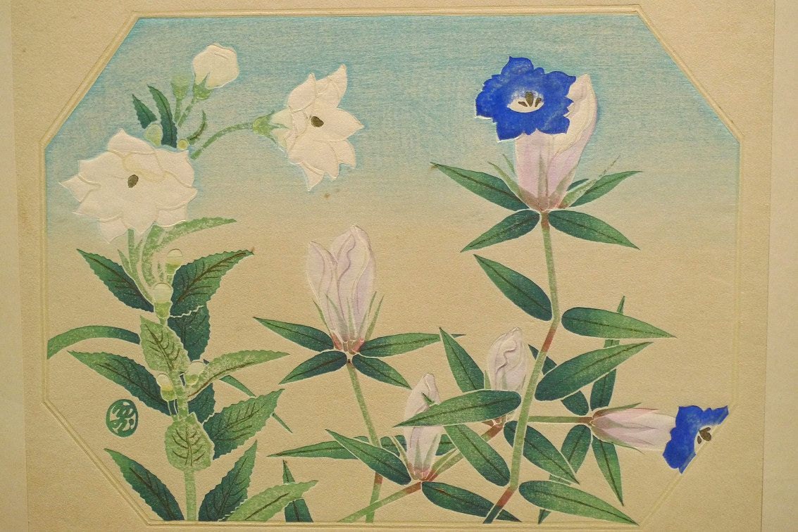 1932, Ukiyoe, Original Sōsaku-hanga, Woodblock print, antique, Tobei Kamei, "Balloonflower"